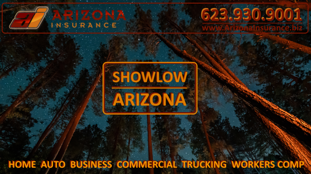 Show Low Insurance for Home, Auto and Business Insurance, Trucking Insurance and Workers Comp Insurance in Showlow, Arizona