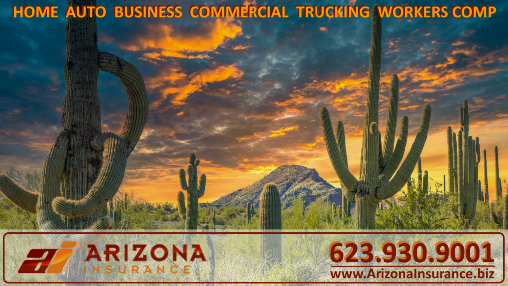 Sierra Vista, Insurance, Cochise County, Arizona, Personal, Home, Homeowners, Auto, Car, Truck, Commercial, Business, Trucking, Workers Comp, Liability, Insurance Agent, Insurance Broker
